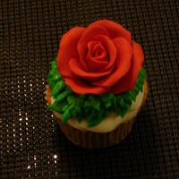 Red Rose Cupcake This cupcake is for my DD's mini birthday party her class is having at school. This one is for her teacher. TFL. :o)