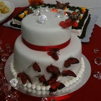 Butterfly Cake I made this cake for a good friend,who is an author, that was having a book release party. It was chocolate and yellow butter cake with...