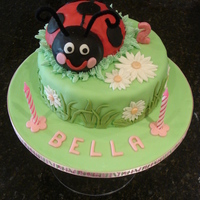 Ladybug Cake The first of two ladybug cakes I made. 10" lemon cake with buttercream filling, decorations are all fondant