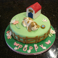 Bassett Hound Cake Lemon cake with bunnwoman;s buttercream filling, covererd in fondant with fondant flowers. Kennel is RCT covered in fondant.