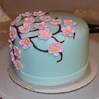 Birthday Cake This was a 6 inch round with fondant, piped melted chocolate and simple gumpaste flowers. This was a trail run for my mom's birthday....