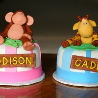 Twin's 2Nd Birthday Addison's and Cade's birthday cakes. The giraffe is one of my favorite cakery creations I've made to date.