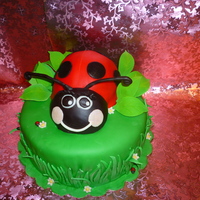 Another Ladybug Cake This is my version of a very popular cake!