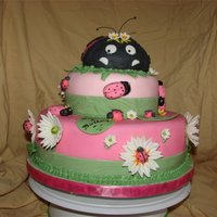 Pink Lady Bug this is was one of my first creations love this one, al lady bugs was made with fondant and gum paste, the flowers also some with royal...