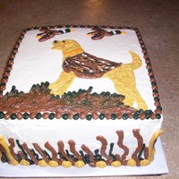 Hunting Hunting ducks with a yellow lab!