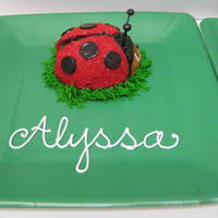 Ladybug Smash Cake Baked in the Williams Sonoma "Backyard Bugs" pan - it's about the size of a jumbo cupcake. Red buttercream covered with red...