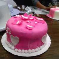Butterfly Cake Pink 