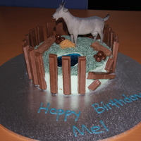 Shannon The Goat In His Pen I made this for my partner's 36th birthday. It's a choc mud cake with buttercream icing, jelly pool, coconut grass, flake logs...