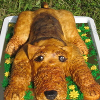 Airedale Terrier Believe it or not, this was a wedding cake,.. Tje girl just loves her dog that she wonted to have a wedding cake shaped as her lovely pet....