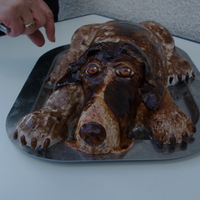 Deutscher Kurzhaariger Vorstehhund (Njemački Kratkodlaki Ptičar) chocolate cake covered with fondant,... everything is edible