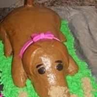 Dog Cake 