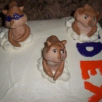 Chipettes Cake This cake was made for a little girl that loves the Chipettes her favorite part of the new movie is whent they make their grand entrance by...