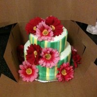 Twilight Cake Chocolate cakes with Oreo filling. Buttercream covered with fondant stripes.