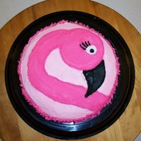 Pink Flamingo This is my test-run for my baby girl's 1st birthday coming up in a couple of months. I have never decorated a cake before so I thought...