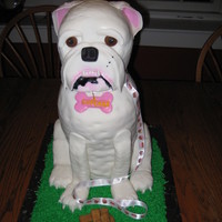 Standing Bull Dog This was done for a friend and fellow Bulldog Lover! 8 layers of Marble Cake. Head is styrofoam, cake is covered and accented in Fondant.