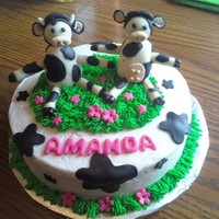 A Cake Just For Moo chocolate cake with raspberry filling and chocolate ganache. customer wanted a cow theme so i made them out of gumpaste.
