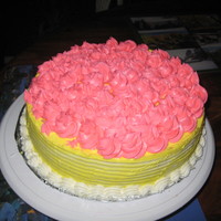 Rosette Topped Cake Made this for birthdays at work. Used the 3M tip.