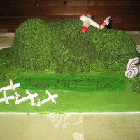 Humidity Is The Devil... So here is my dad's 50th birthday cake. Let me lay out the plan and then what it turned into. The plan was vermont green mountain...
