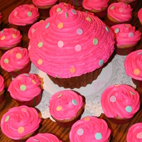 Cup Cake And Matching Cupcakes 