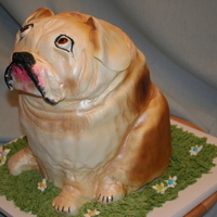 Bulldog Pound cake carved in the shape of a dog. Covered with fondant. Added wrinkles and feet. Airbrushed the color and handpainted the details on...