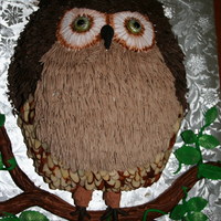 Owl Marble pound cake. Buttercream icing on top and front, almond slices on sides and chocolate curls for wings. Fondant branch and leaves.