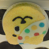 Pudsey Bear made for children in need fun day