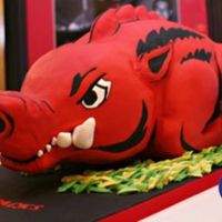U.of Arkansas Razorback With the school's permission we made the razorback for a groom's cake. Covered in fondant and painted accents. Minette