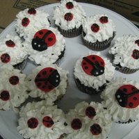 Ladybug Cupcakes Chocolate and yellow variety cupcakes, buttercream frosting, accents made from fondant.