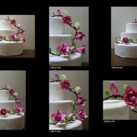 White Fondant Covered Cake With Pink Sugar Magnollias 
