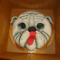 Bulldog Cake yellow cake filled with buttercream , carved and covered in fondant & airbrushed