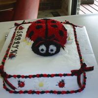 Ladybug Cake Another view