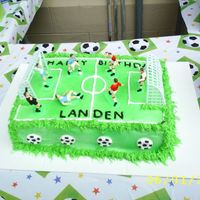 Soccer Field This was my first largest cake that I have ever made. I made it for my son's 7th Birthday. It's half chocolate and half white...