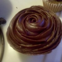 Chocolate Rose 