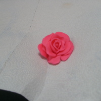 First Rose! Had never made a rose before. I used one of the tutorials (roses without cutters) that Rylan posted. Thanks Rylan!!