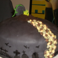 Zombies Are Coming Made last minute for a friend who loves zombies. Handpainted with Wilton Black. White cake with oreo filling. Sunflower seed "walkway&...