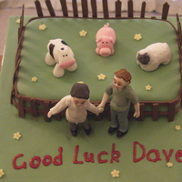Vet's This cake was for a friend who was moving away with his newly qualified vet wife who was starting a new job.