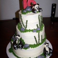 Panda Birthday I didnt like how the iceing came out it was cream cheese frosting and it was to hot in my house to crust ,not smooth enough for me but the...