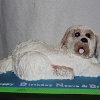 Puppy Cake puppy cake sculpted from a 9X13 and an 8 inch cake. head is RKT with fondant features. CC has helped me so much with this and other...