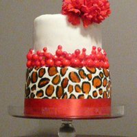 Leopard Chic Tribute to the trendy leopard print with a splash of class & sophistication!