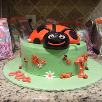 Lady Bug 