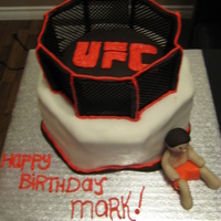 Ufc Themed Birthday Cake 