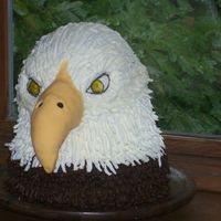 Son's Birthday Cake 16'' tall chocolate cake, with butter cream feathers and filling. beak made with rice crispies. but, next time ill use styrofoam...