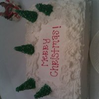 Christmas Cake! chocolate cake with banana filling frosted with buttercream and used sugar cones for the trees and just decorated it with green frosting...