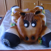 Horse Cake Thank you CC's, I used many cakes as inspiration for this horse cake. It was lots of fun to make!