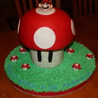 Mario & Red Mushroom Cake 