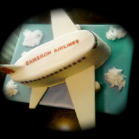 Airplane 9x13's carved and stacked. Covered with buttercream with all accents being fondant. Used white cotten candy for the clouds.