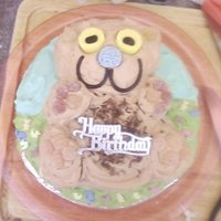 Teddy Bear's Picnic Cake the cake is 1 shallow tin cake and a teddy cake mould cake using madera cake. I then used soft cheese butter icing with food colouring...