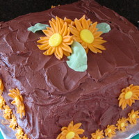 Orange Daisies This cake was for a going away party. The honoree's favorite color is orange so I thought orange daisies would be nice. The cake...