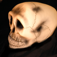 3D Skull cut out of 3cakes, covered with fondant and used black dust.for almost 40 persons