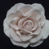 Blush Rose This is the 2nd gumpaste rose that I attempted. I think that it came out pretty good. Thanks Suzisweet for the viedo tutorial!
